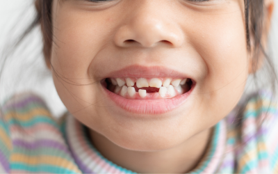 ¿Cuándo se desarrollan los primeros dientes?